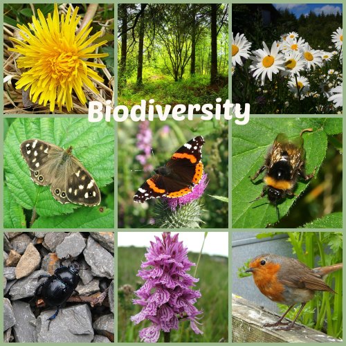 biodiversityCollage1
